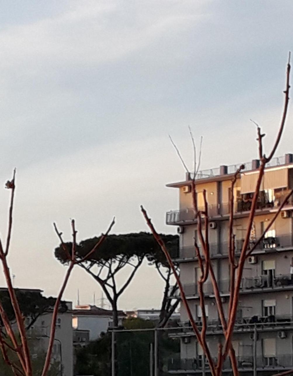 Mare Azzurro Torre del Greco Exterior foto